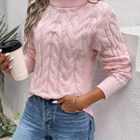 Damen Rollkragenpullover Slim Fit Freizeit Winter bequem warm