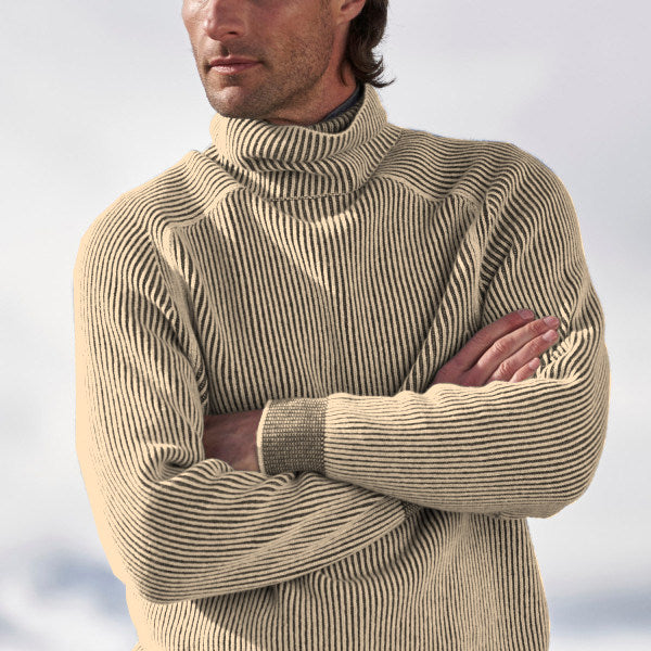 Herren Rollkragenpullover Regular Fit Freizeit Klassisch