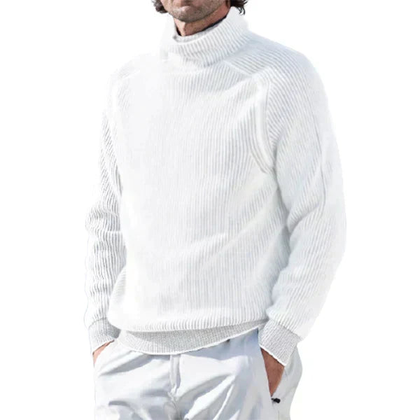 Herren Rollkragenpullover Regular Fit Freizeit Klassisch