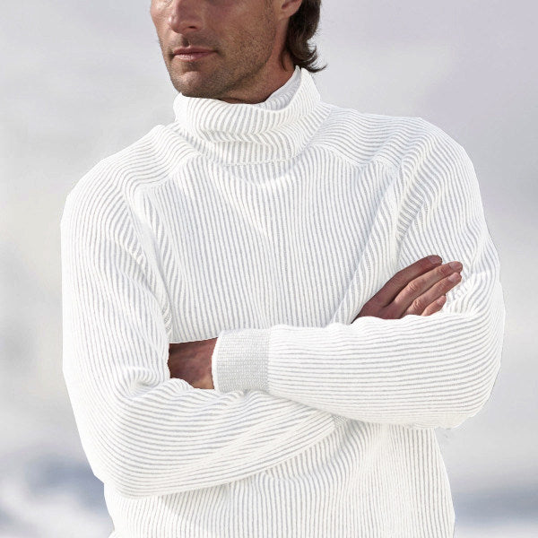 Herren Rollkragenpullover Regular Fit Freizeit Klassisch