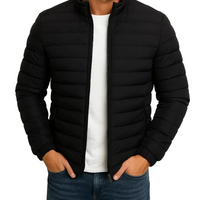Herren Steppjacke Regular Fit Freizeit mit Stehkragen und Reißverschluss